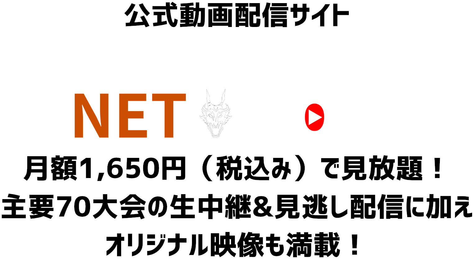 公式動画配信サイト DRAGONGATE NETWORK！